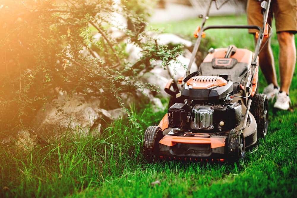 Push Lawnmower